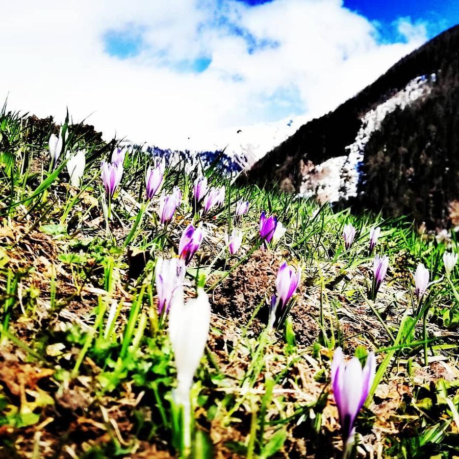 Ferienwohnungen Niederarnigerhof Familie Bauernfeind Kals am Grossglockner Ngoại thất bức ảnh