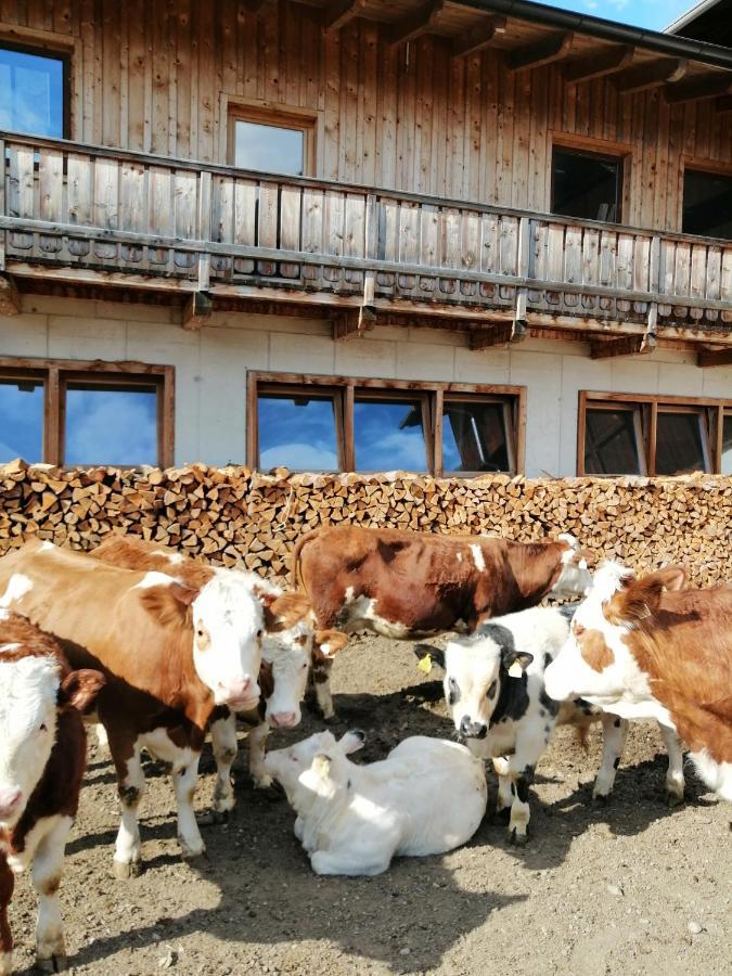 Ferienwohnungen Niederarnigerhof Familie Bauernfeind Kals am Grossglockner Ngoại thất bức ảnh