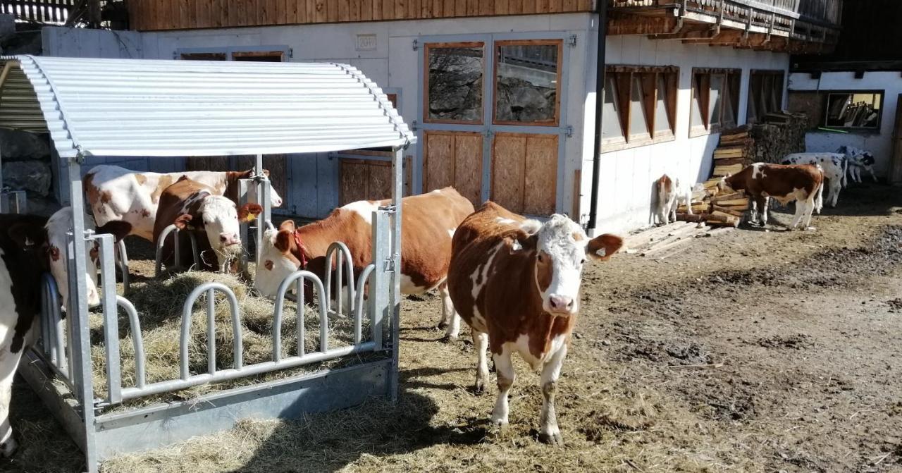 Ferienwohnungen Niederarnigerhof Familie Bauernfeind Kals am Grossglockner Ngoại thất bức ảnh