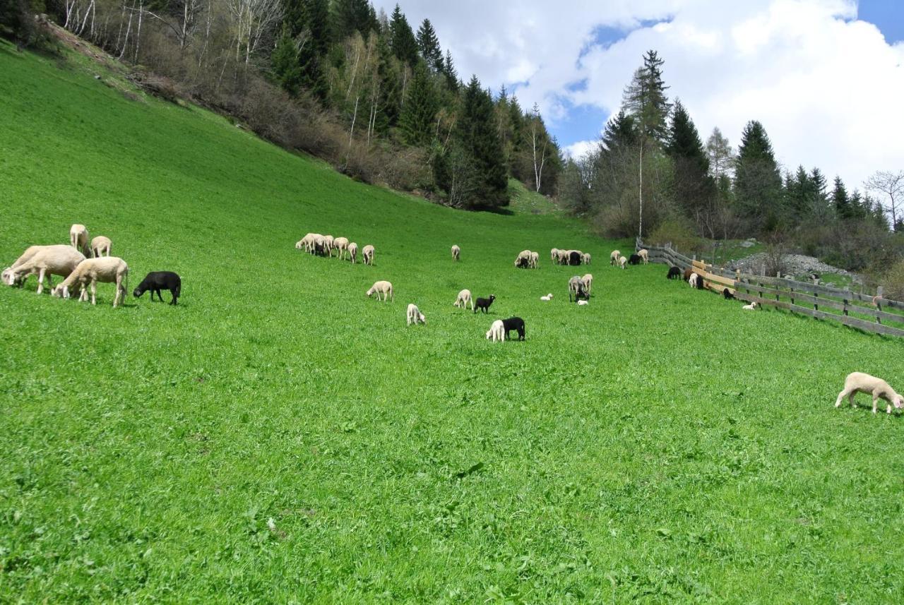 Ferienwohnungen Niederarnigerhof Familie Bauernfeind Kals am Grossglockner Ngoại thất bức ảnh