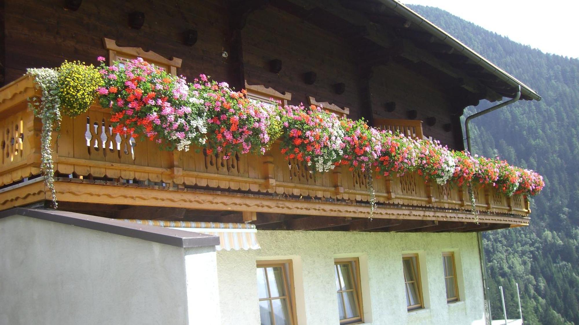 Ferienwohnungen Niederarnigerhof Familie Bauernfeind Kals am Grossglockner Ngoại thất bức ảnh